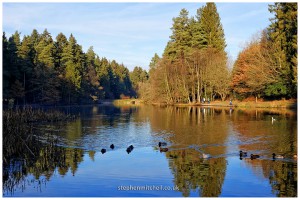Mallards Pike, Forest of Dean