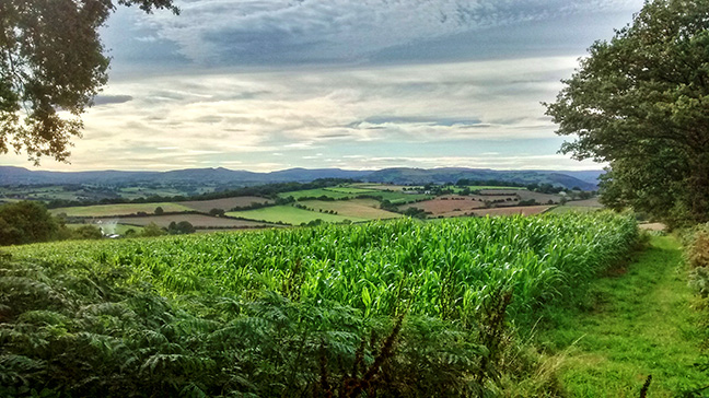 View towards the Brecon Beacons