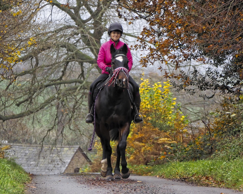 Recreational Riding on the Common